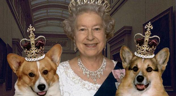 La regina Elisabetta II con i suoi amati cani