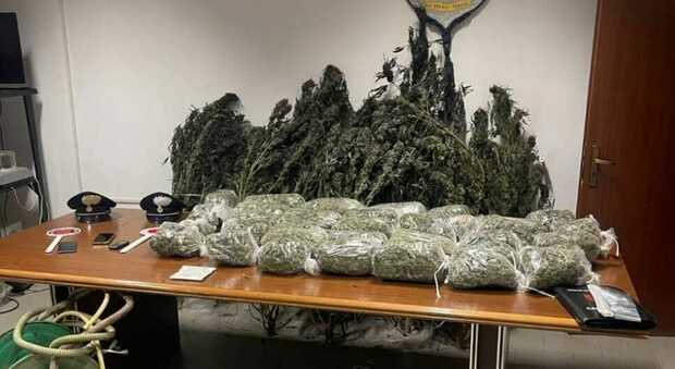 Maxi sequestro di droga: 23 kg di marijuana