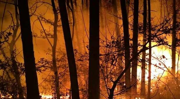 Provoca incendio in un bosco dell'Alta Irpinia, 40enne denunciato