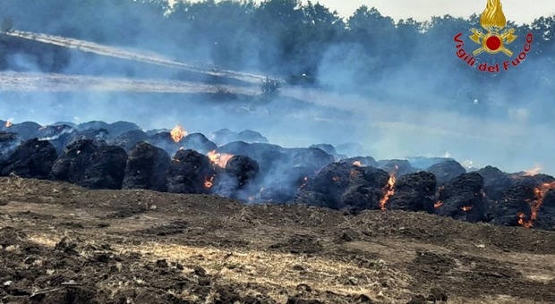 Boschi irpini devastati da 50 incendi: in azione anche i mezzi aerei