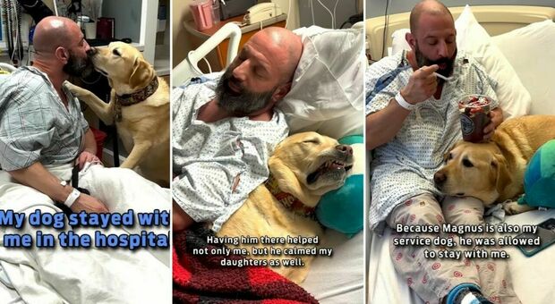 Dolore al petto, va in ospedale e il suo cane lo assiste giorno e notte. Il video che ha commosso il web