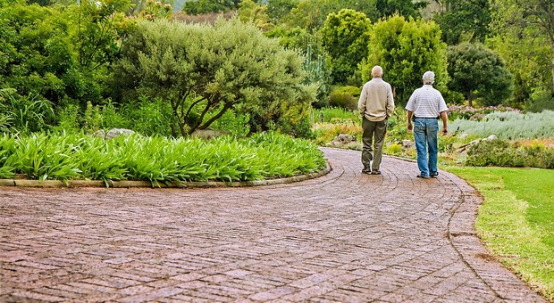 Anziani, camminare ogni giorno dimezza il rischio di demenza (servono 10mila passi)