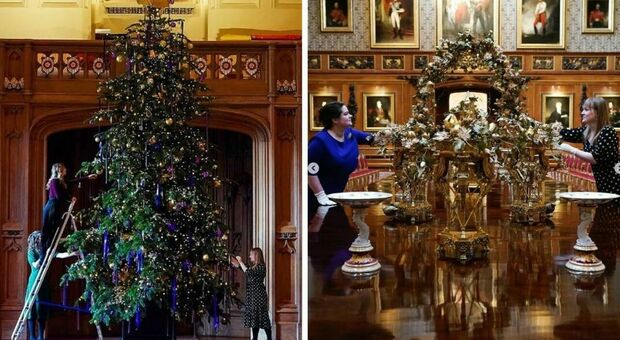 L'albero di Natale gigantesco per Re Carlo: è alto più di 6 metri (pieno di decorazioni). Sarà visitabile al Castello di Windsor fino al 2 gennaio