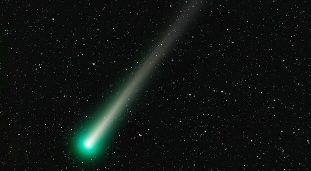 La cometa verde
