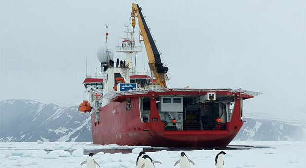 Antartide, una nave mai così a sud in Antartide: la rompighiaccio italiana Laura Bassi fa il nuovo record