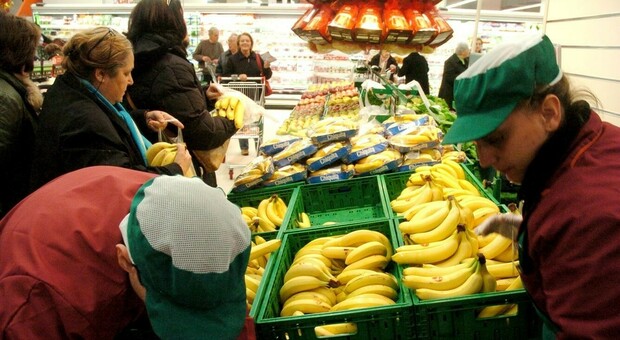 Banane, la crisi energetica mette a rischio il "frutto-rifugio". «Nel 2023 prezzi su del 20-30%»