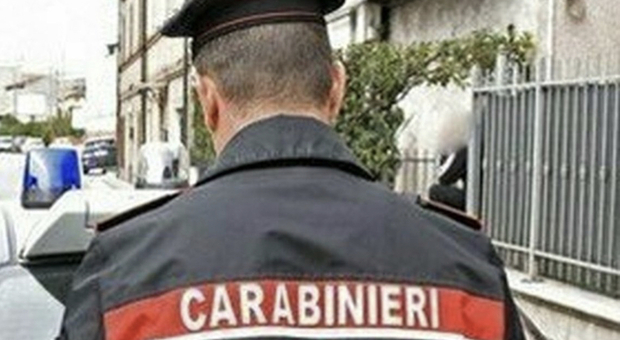 Carabinieri al lavoro