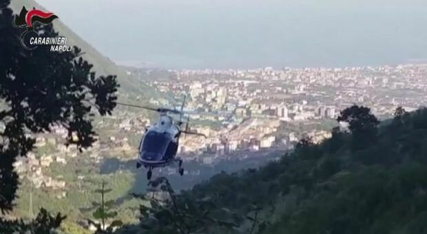Piantagioni di droga sui monti Lattari, nuovi arresti tra Lettere e Pimonte