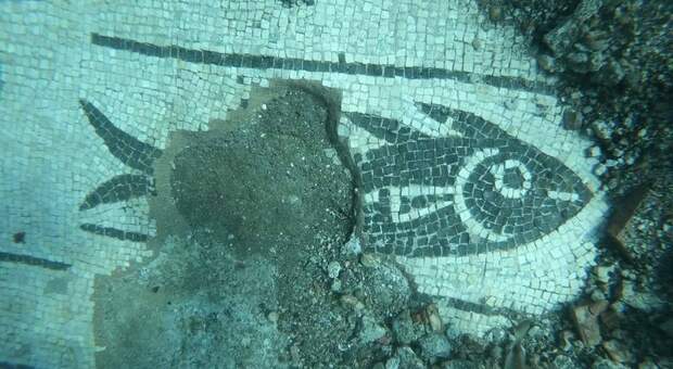 Baia sommersa, scoperta durante il restauro: spunta l'immagine di un' orata dal mosaico sul fondo del mare