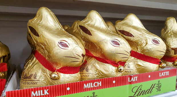 Lidl dice addio ai suoi coniglietti di cioccolata, non li può più vendere e deve distruggere le scorte. «Troppo simili a quelli di Lindt»