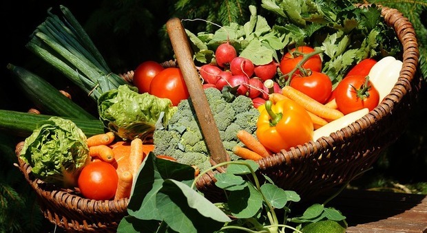 Longevità, la dieta con tante verdure diminuisce i rischi di morte anticipata