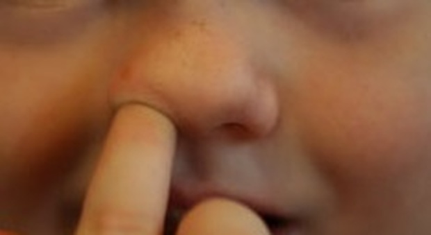 Perché ci mettiamo le dita nel naso? Lo spiega la scienza - Il Mattino.it