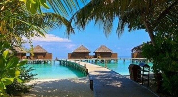 Maldive, resort cerca "venditore di libri a piedi nudi" per un anno: potrà soggiornare gratis in una suite da 36mila dollari a notte