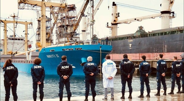 Napoli, attracca nave con grano ucraino: scatta l'ispezione, il carico non è radioattivo