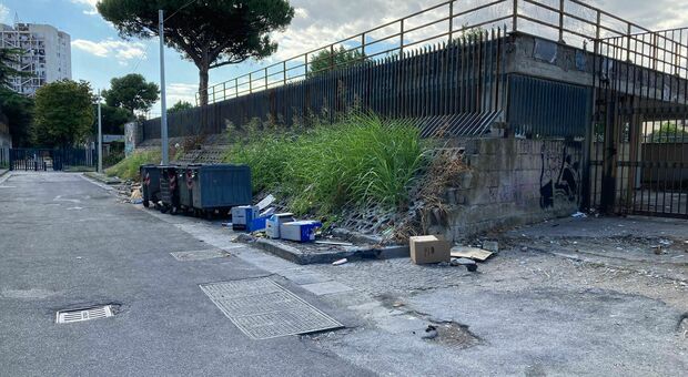 Napoli Est, rifiuti e verde infestante: sos decoro a Ponticelli