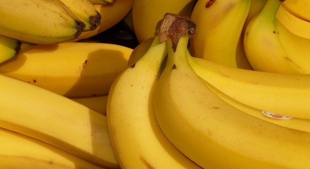 Cocaina nelle banane sul banco al supermercato: la storia incredibile, ecco com'è accaduto