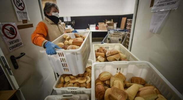 Prezzo del pane a 6 euro al chilo in Campania: «È una scelta obbligata»