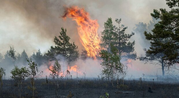 Dà fuoco ai rifiuti vegetali e provoca incendio nel bosco, 70enne denunciato