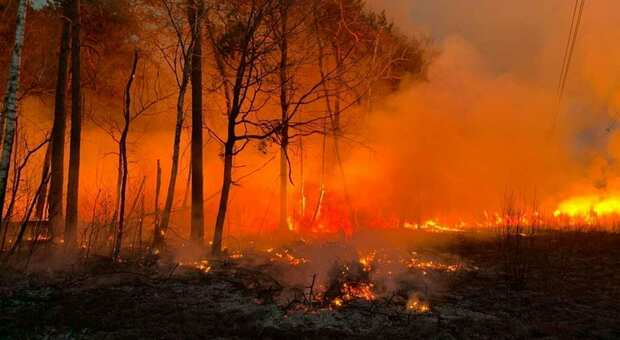 Danno fuoco agli scarti agricoli e provocano l'incendio di un bosco