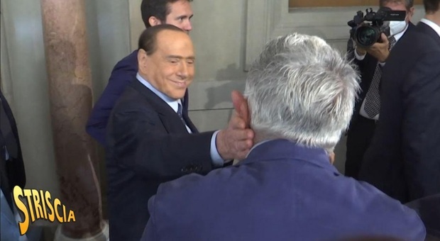 Striscia la notizia, Enrico Lucci Provoca Berlusconi: «Lo mangiate il panettone o litigate prima?». La reazione del Cavaliere