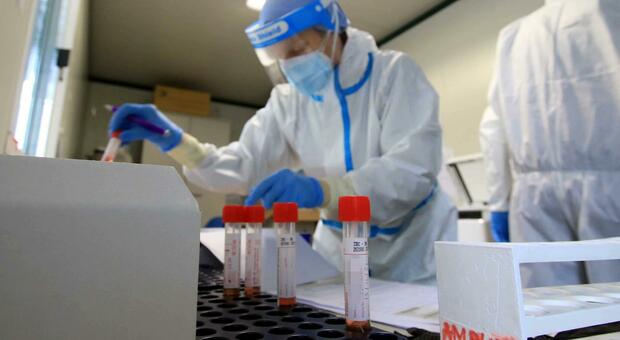 La Cina testerà migliaia di campioni di sangue di Wuhan per scoprire l'origine del virus