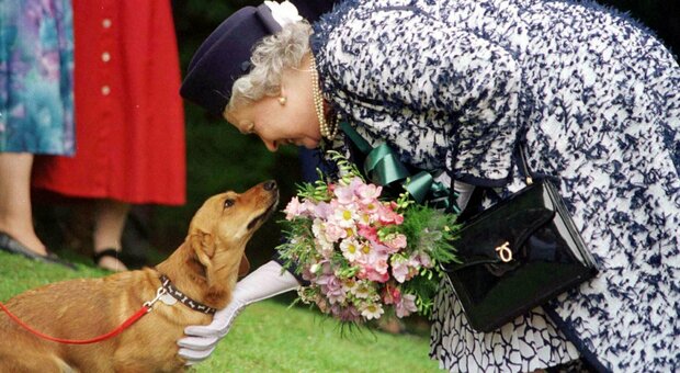 Regina Elisabetta, l'ultimo grande dolore: in estate l'addio a Candy, il cane che era con lei da 18 anni