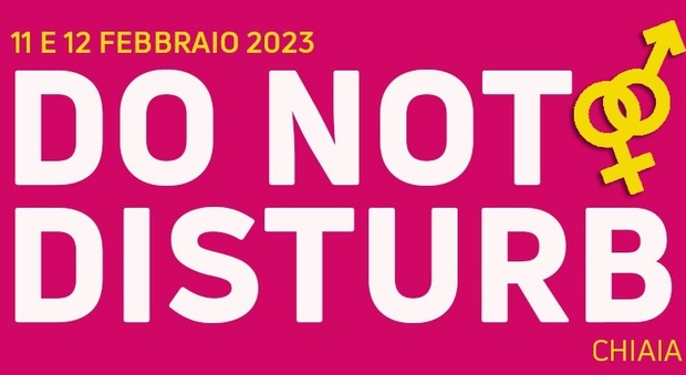Locandina di «Do not disturb»