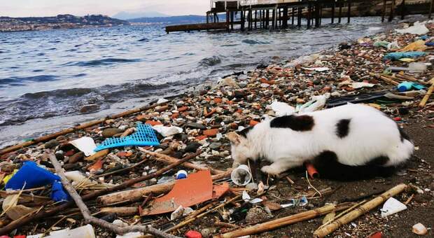 Dopo la mareggiata, rifiuti e plastica in spiaggia