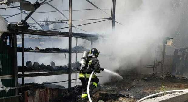 Pomeriggio di fuoco a Pompei: le fiamme distruggono una serra di piante grasse