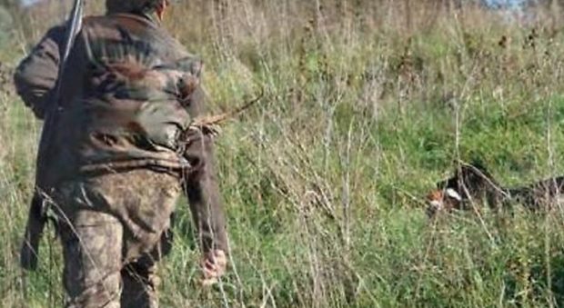 Irpinia, ferito a colpi di fucile durante la caccia al cinghiale