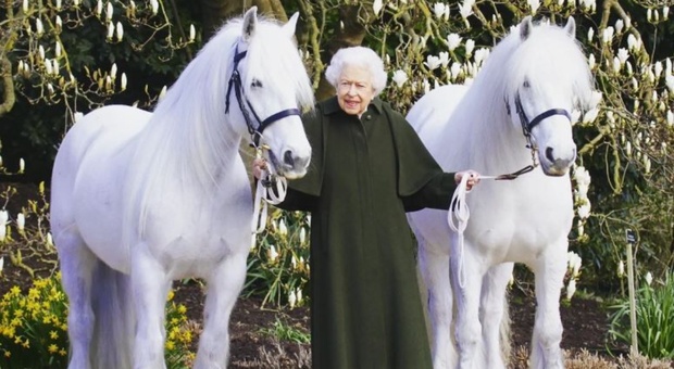 Carlo mette in vendita i cavalli della madre Elisabetta