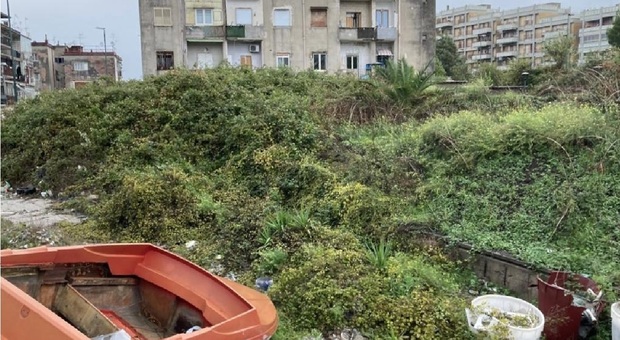 Napoli, il Comune apre ai privati per riqualificare 10mila metri quadrati di verde a Ponticelli