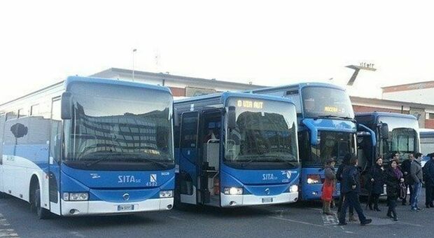 Massa Lubrense, la richiesta del sindaco alla Sita: «Raddoppiare le corse degli autobus»