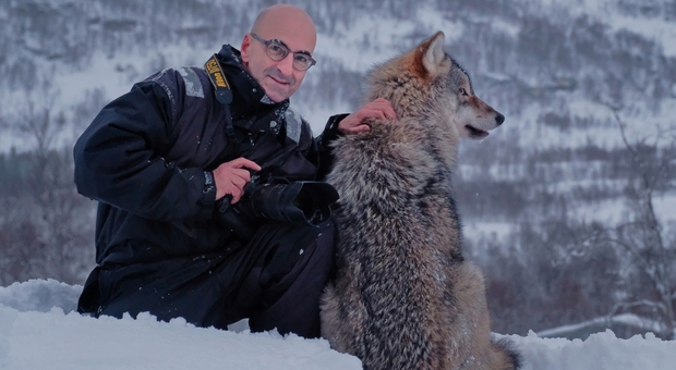 «Io e il lupo, la mia avventura nei boschi del Lago di Vico», l'incredibile storia del fotografo ronciglionese Enrico Barbini Video