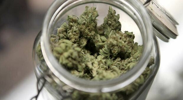 Scafati, spaccio di droga in casa: trovati 72 grammi di marijuana