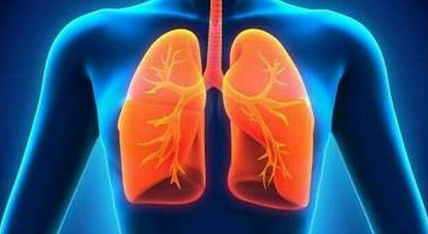 Tumore polmone, l'immunoterapia (prima della chirurgia) aumenta le guarigioni