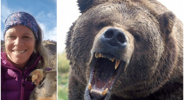 Stati Uniti: donna spaventa un orso in campeggio, l'animale torna più tardi e la sbrana
