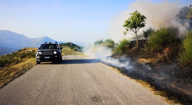 Incendi boschivi in Campania, oltre 236 dall'inizio dell'anno: 12 le persone denunciate