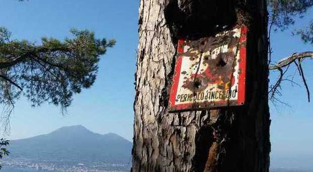 Degrado sui boschi: l'albero «divora» il cartello di pericolo d'incendio