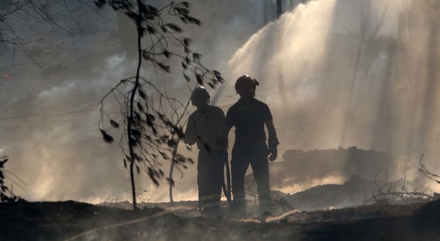 Incendi e orrore sul Vesuvio: animali vivi usati per estendere le fiamme