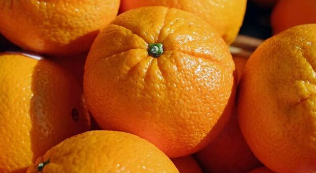 Allarme in Francia, ritirate arance per un pesticida non autorizzato. «Non consumatele»