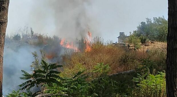 Incendio nel parco del Vesuvio, sei famiglie costrette a lasciare le case