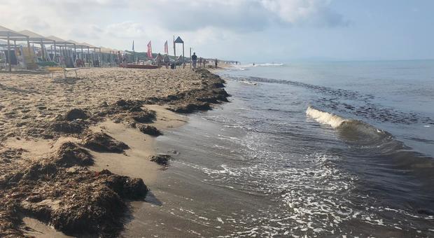 Mare e coste, Campania maglia nera: 13 reati al giorno contro l'ambiente