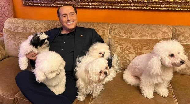 Silvio Berlusconi allarga la famiglia: «Abbiamo appena accolto Drago e Lupo». Chi sono i nuovi arrivati