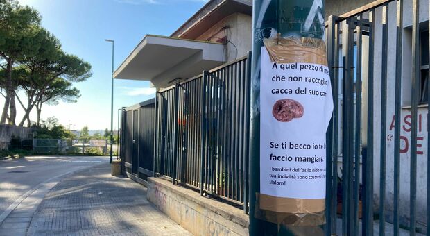 Napoli, deiezioni canine davanti all'asilo: «Se ti becco te le faccio mangiare»