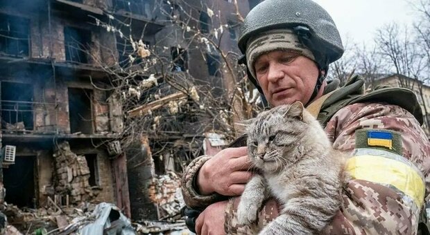 Ucraina, UAnimals lancia l'allarme: «Più di 200mila animali morti o senza casa e padrone dall'inizio degli attacchi russi»