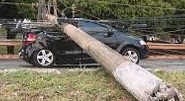 Auto investita da un palo dopo la caduta di un albero: «Sono nato per la seconda volta», racconta il conducente
