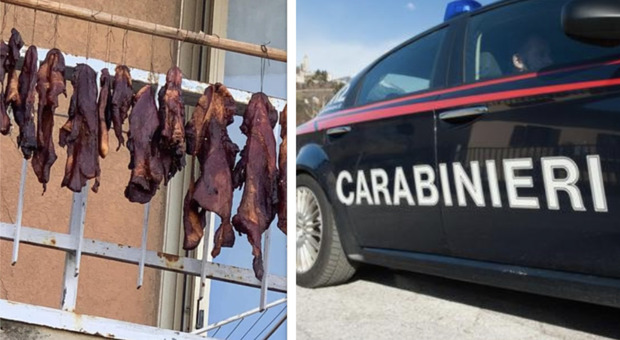 Carcasse di animali appese al balcone, l'immagine diventa virale sui social: scatta la denuncia