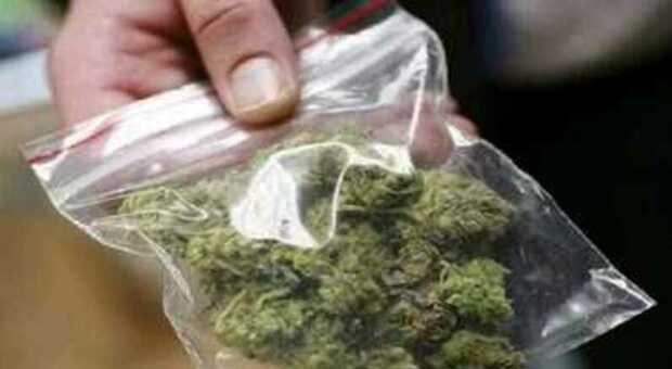 Napoli, trovato in possesso di 170 grammi di marijuana: arrestato 24enne
