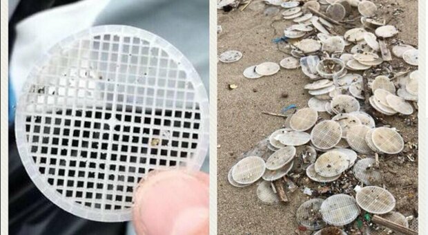 Dischetti di plastica dal depuratore di Paestum in mare: 8 rinvii a giudizio